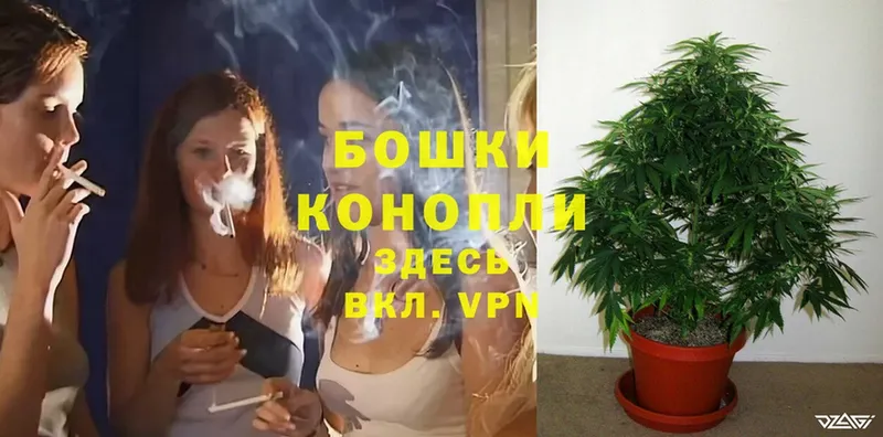 МАРИХУАНА Ganja  Рассказово 